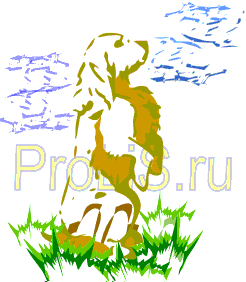 собака щенок спаниель